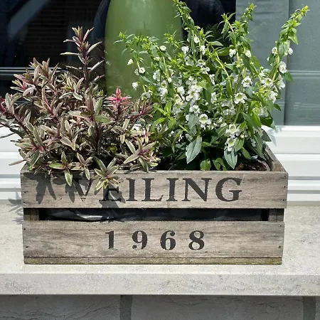 Apartmán - Steinmetz Mit Balkon *