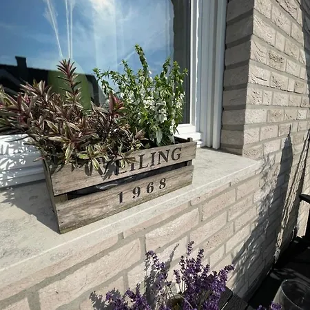 Appartement - Steinmetz Mit Balkon