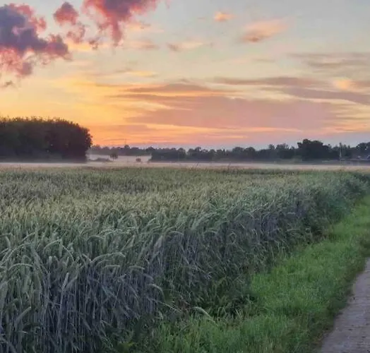 - Steinmetz Mit Balkon