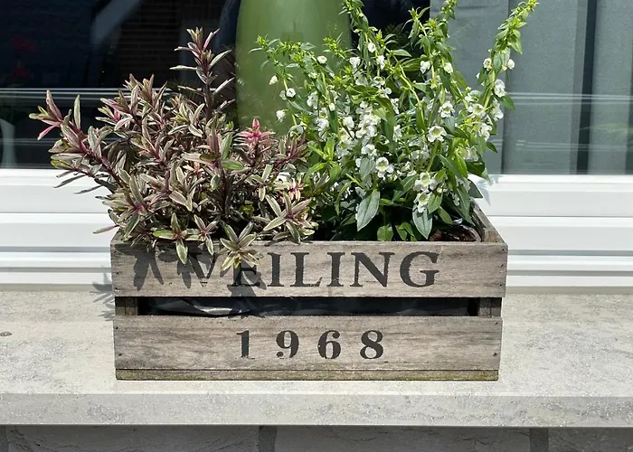 Apartmán - Steinmetz Mit Balkon *